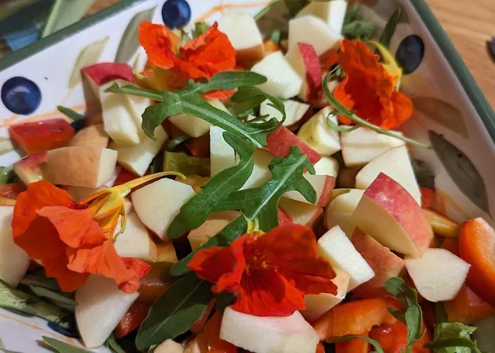 La Pecora Rosa Bed & Breakfast